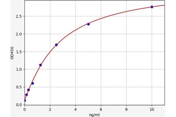 COL1A2 ELISA 试剂盒