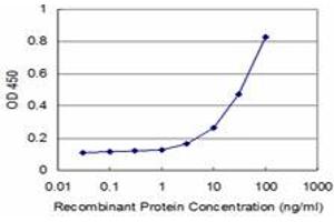 Detection limit for recombinant GST tagged NFKBIB is approximately 3ng/ml as a capture antibody. (NFKBIB 抗体  (AA 56-145))
