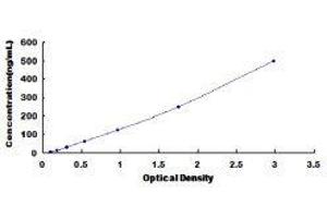 ELISA image for serpin Peptidase Inhibitor, Clade D (Heparin Cofactor), Member 1 (SERPIND1) ELISA Kit (ABIN416475)