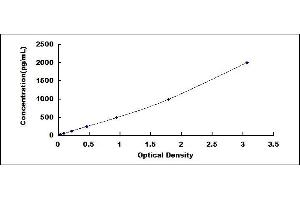 Typical standard curve (Complement C5 Convertase ELISA 试剂盒)