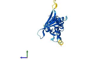 Protein Structure (PS) image for Zinc Finger, FYVE Domain Containing 21 (ZFYVE21) (AA 1-234) protein (His tag) (ABIN7545630)