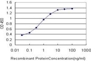 Detection limit for recombinant GST tagged SGK2 is approximately 0. (SGK2 抗体  (AA 293-367))