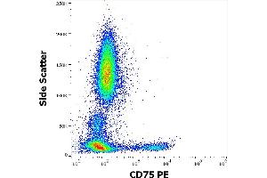 Flow cytometry surface staining pattern of human peripheral whole blood stained using anti-human CD75 (LN1) PE antibody (10 μL reagent / 100 μL of peripheral whole blood). (ST6GAL1 抗体  (PE))