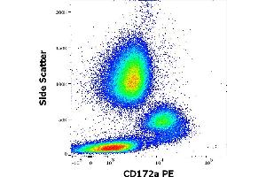 Anti-human CD172a PE antibody (clone 15-414) works in flow cytometry application. (SIRPA 抗体  (PE))