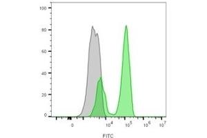 Flow cytometry analysis of lymphocyte-gated PBMCs unstained (gray) or stained with CF488A-labeled CD3 mouse monoclonal antibody (CRIS-7) (green) (CD3 epsilon 抗体)