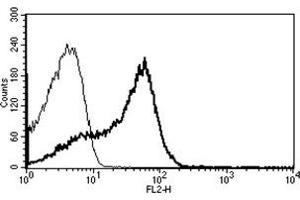 Flow Cytometry (FACS) image for anti-CD7 (CD7) antibody (PE) (ABIN1106544) (CD7 抗体  (PE))