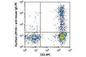 Flow Cytometry (FACS) image for anti-Chemokine (C-C Motif) Receptor 4 (CCR4) antibody (ABIN2664335) (CCR4 抗体)