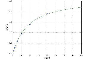 A typical standard curve (TNFSF13 ELISA 试剂盒)