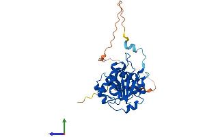 Protein Structure (PS) image for Cms Small Ribosomal Subunit 1 (CMSS1) (AA 1-276) protein (His tag) (ABIN7560801)
