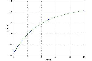 A typical standard curve