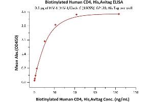 ELISA image for CD4 (CD4) (AA 26-396) (Active) protein (His tag,AVI tag,Biotin) (ABIN5674592)