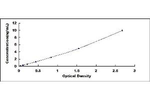 Typical standard curve (Hexosaminidase A ELISA 试剂盒)