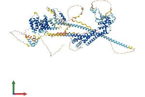 AlphaFold protein structure predicition of Human Recombinant DIAPH1 Protein, UniprotID O60610