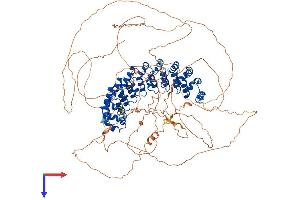 Protein Structure (PS) image for Pumilio Homolog 2 (Drosophila) (PUM2) (AA 1-1066) protein (His tag) (ABIN7555096)