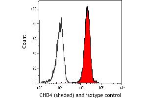 Flow Cytometry (FACS) image for anti-Chromodomain Helicase DNA Binding Protein 4 (CHD4) antibody (ABIN7453323) (Recombinant CHD4 抗体)