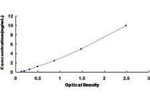ELISA image for Angiotensin II Receptor, Type 1 (AGTR1) ELISA Kit (ABIN414777)