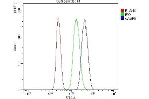 Flow Cytometry analysis of U937 cells using anti-Caspase-9/CASP9 antibody (ABIN7601196).