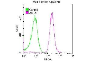 Flow Cytometry (FACS) image for anti-Actin, alpha 1, Skeletal Muscle (ACTA1) antibody (ABIN7127272)
