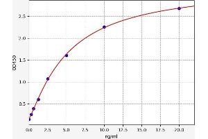 Typical standard curve (CNKSR1 ELISA 试剂盒)