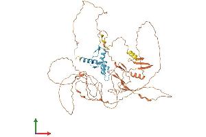 Protein Structure (PS) image for Sp2 Transcription Factor (Sp2) (AA 1-613) protein (His tag) (ABIN7546405)