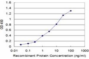 Detection limit for recombinant GST tagged PI15 is approximately 0. (PI15 抗体  (AA 18-117))