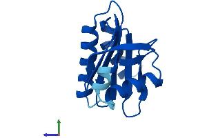Protein Structure (PS) image for Profilin 4 (PFN4) (AA 1-129) protein (His tag) (ABIN7561044)