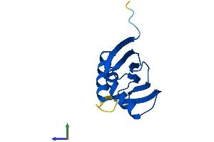 Protein Structure (PS) image for Proteasome (Prosome, Macropain) Assembly Chaperone 3 (PSMG3) (AA 1-122) protein (His tag) (ABIN7551080)