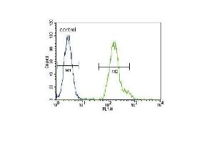 CEB Antibody (C-term) (ABIN653431 and ABIN2842875) flow cytometric analysis of Hela cells (right histogram) comred to a negative control cell (left histogram). (CEBPA 抗体  (C-Term))