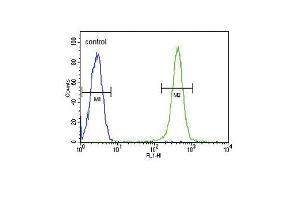 GPI Antibody (C-term) (ABIN653743 and ABIN2843045) flow cytometric analysis of Ramos cells (right histogram) compared to a negative control cell (left histogram). (GPI 抗体  (C-Term))