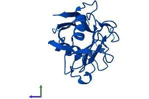 AlphaFold protein structure predicition of Human Recombinant PPIAL4F Protein, UniprotID P0DN26