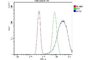 Flow Cytometry analysis of A431 cells using anti-BTG2 antibody (ABIN5692800).