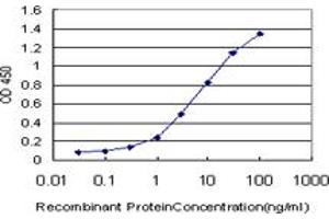 Detection limit for recombinant GST tagged EPHB3 is approximately 0. (EPH Receptor B3 抗体  (AA 899-997))