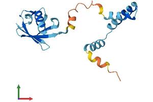 Protein Structure (PS) image for Ubiquitin-Like 4A (UBL4A) (AA 1-157) protein (His tag) (ABIN7544918)