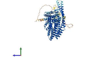 AlphaFold protein structure predicition of Mouse Recombinant Ctnnal1 Protein, UniprotID O88327 (CTNNAL1 Protein (AA 1-731) (His tag))