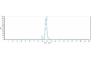 anti-IL33 (Etokimab Biosimilar) antibody