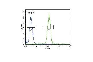 Flow Cytometry (FACS) image for anti-Nuclear Receptor Coactivator 7 (NCOA7) (AA 76-103), (N-Term) antibody (ABIN653488)