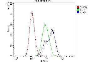 Flow Cytometry analysis of Daudi cells using anti-CD229 antibody (ABIN6719290). (LY9 抗体)