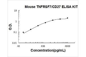 CD27 Molecule (CD27) ELISA Kit