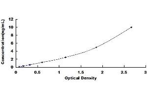 Typical standard curve (CDX2 ELISA 试剂盒)