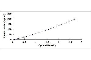 Typical standard curve (Myelin Basic Protein Autoantibody (Anti-MBP) ELISA 试剂盒)