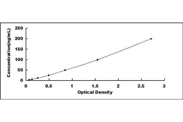 Myelin Basic Protein Autoantibody (Anti-MBP) ELISA 试剂盒