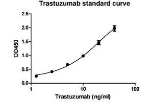 ELISA image for Trastuzumab ELISA Kit (ABIN4886397) (Trastuzumab ELISA 试剂盒)