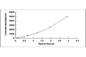 Typical standard curve (WNT16 ELISA 试剂盒)