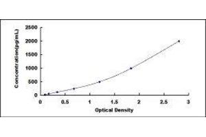 GATA Binding Protein 3 (GATA3) ELISA Kit