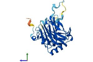 Protein Structure (PS) image for AlkB, Alkylation Repair Homolog 6 (ALKBH6) (AA 1-238) protein (His tag) (ABIN7552083)