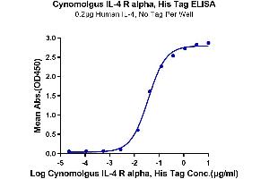 Immobilized Human IL-4, No Tag at 2 μg/mL (100 μL/well) on the plate.