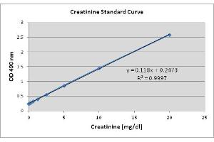 Creatinine Assay Standard Curve.