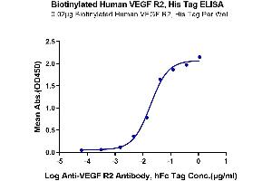 ELISA image for VEGF Receptor 2 (VEGFR2) (AA 20-764) protein (His-Avi Tag,Biotin) (ABIN7275838)