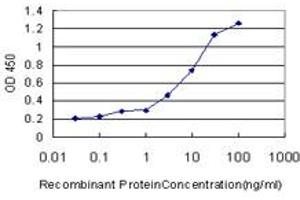 Detection limit for recombinant GST tagged RANBP3 is approximately 0. (RanBP3 抗体  (AA 298-397))