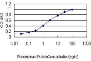 Detection limit for recombinant GST tagged FMR1 is approximately 0. (FMR1 抗体  (AA 121-220))